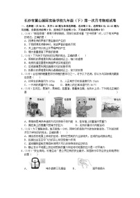 2020-2021学年湖南省长沙市麓山国际实验学校九年级（下）第一次月考物理试卷