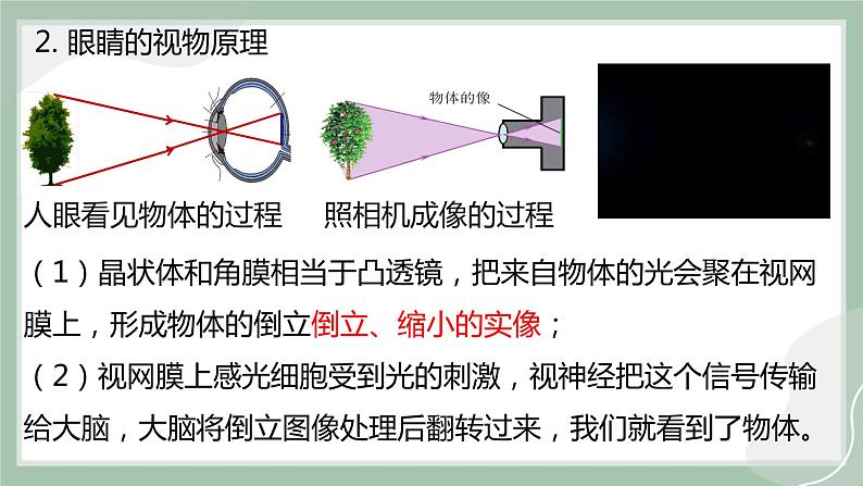 【精优课堂】4.6 神奇的眼睛（课件）2022-2023学年八年级物理上学期同步精品课堂（沪科版）04