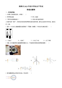 2023年湖南省株洲市中考物理试题及答案解析