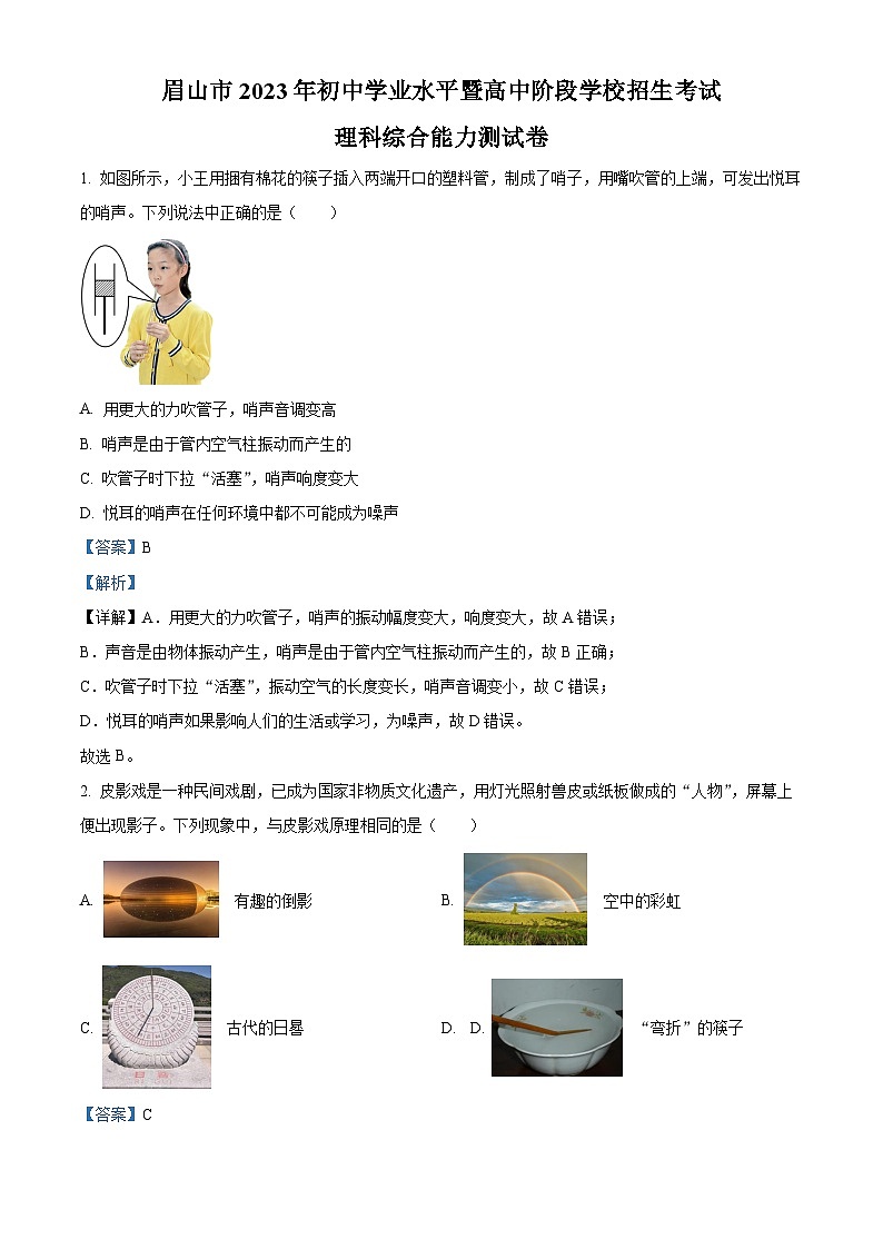 2023年四川省眉山市中考理综物理试题及答案解析01