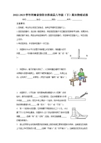 2022-2023学年河南省信阳市淮滨县八年级（下）期末物理试卷（含解析）