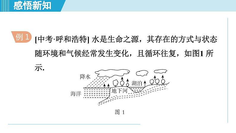 2023-2024学年苏科版物理八年级上册同步课件：2.5水循环05