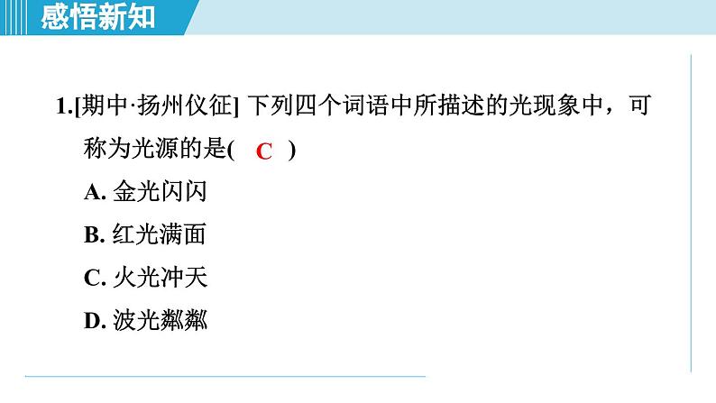 2023-2024学年苏科版物理八年级上册同步课件：3.1光的色彩 颜色06