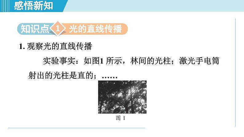 2023-2024学年苏科版物理八年级上册同步课件：3.3光的直线传播02