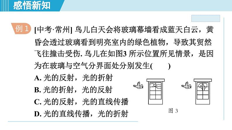 2023-2024学年苏科版物理八年级上册同步课件：4.1光的折射08