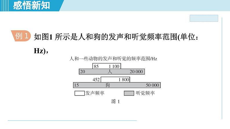 2023-2024学年苏科版物理八年级上册同步课件：1.4人耳听不到的声音05