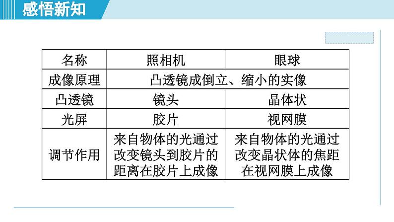 2023-2024学年苏科版物理八年级上册同步课件：4.4照相机与眼球 视力的矫正第3页