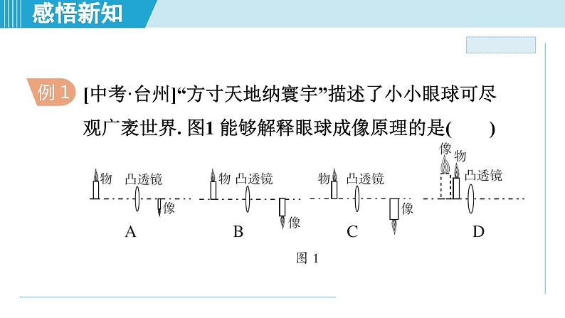 2023-2024学年苏科版物理八年级上册同步课件：4.4照相机与眼球 视力的矫正第5页