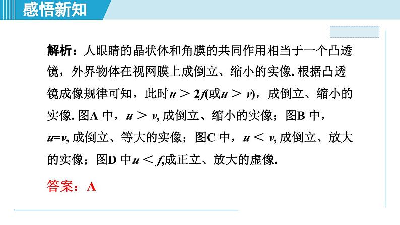 2023-2024学年苏科版物理八年级上册同步课件：4.4照相机与眼球 视力的矫正第6页