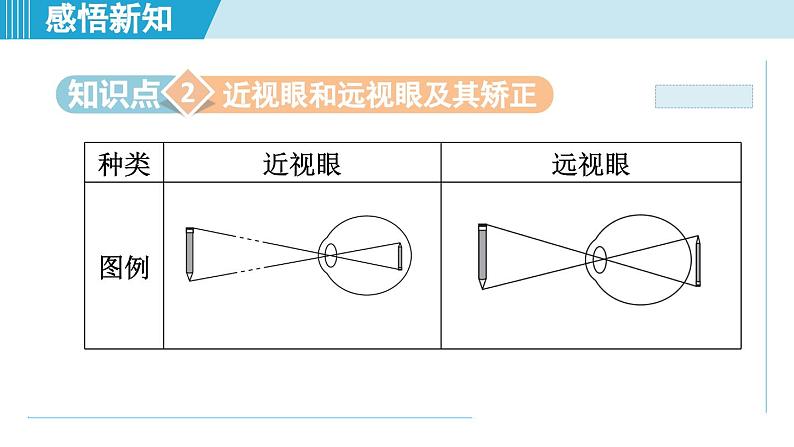 2023-2024学年苏科版物理八年级上册同步课件：4.4照相机与眼球 视力的矫正第8页