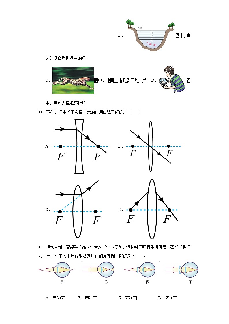 河北省秦皇岛市昌黎县2022-2023学年八年级上学期期末物理试题第3页