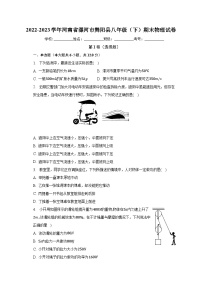 河南省漯河市舞阳县2022-2023学年八年级下学期期末物理试卷（含答案）