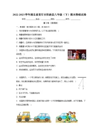 湖北省黄石市阳新县2022-2023学年八年级下学期期末物理试卷（含答案）