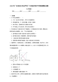 2023年广东省汕头市金平区广大实验学校中考物理模拟试题（3月份）（含解析）