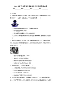 2023年江苏省无锡外国语学校中考物理模拟试题（含解析）