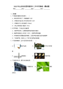 2023年山东省东营市胜利十三中中考物理一模试题（含解析）