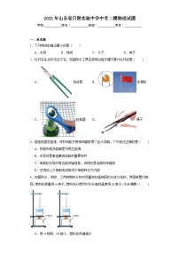 2023年山东省日照实验中学中考二模物理试题（含解析）