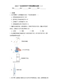 2023广东省深圳市中考物理模拟试题（二）（含解析）