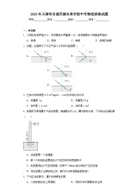 2023年天津市东丽区湖未来学校中考物理质检试题（含解析）