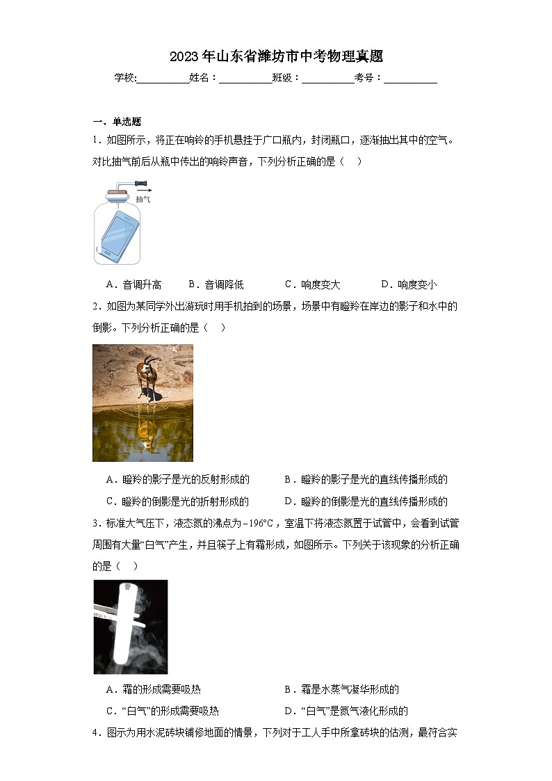 2023年山东省潍坊市中考物理真题（含解析）01