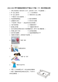 湖南省株洲市芦淞区2022-2023学年八年级下学期期末物理试卷（含答案）