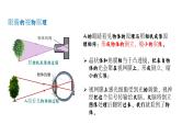 【精优课堂】第5.4课 眼睛和眼镜（课件）-2022-2023学年物理八年级上册同步备课（人教版）