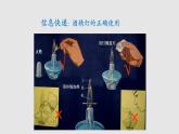 2.1物质的三态  温度的测量（课件）八年级物理上册同步备课（苏科版）