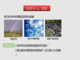 3.1光的色彩 颜色 （课件）八年级物理上册同步备课（苏科版）