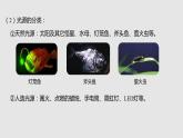 3.1光的色彩 颜色 （课件）八年级物理上册同步备课（苏科版）