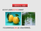 3.5 光的反射（課件）八年級物理上冊同步備課（蘇科版）