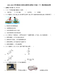 黑龙江省哈尔滨市巴彦县2022-2023学年八年级下学期期末物理试卷（含答案）