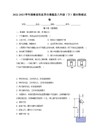 湖南省张家界市桑植县2022-2023学年八年级下学期期末物理试卷（含答案）