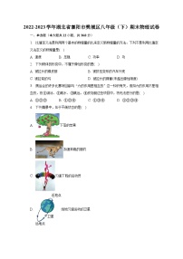 湖北省襄阳市樊城区2022-2023学年八年级下期末物理试卷（含答案）