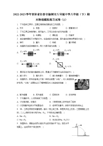 吉林省长春市榆树市八号镇中学2022-2023学年八年级下学期期末物理模拟练习试卷（2）