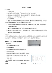 物理八年级下册一、透镜教案及反思