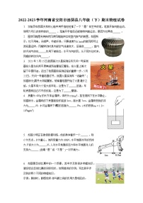 河南省安阳市汤阴县2022-2023学年八年级下学期期末物理试卷（含答案）