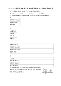 山东省济宁市鱼台县2022-2023学年八年级下学期期末物理试卷（含答案）