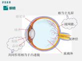 第4节  眼睛和眼镜 -2023-2024学年八年级上册物理同步备课课件（人教版）