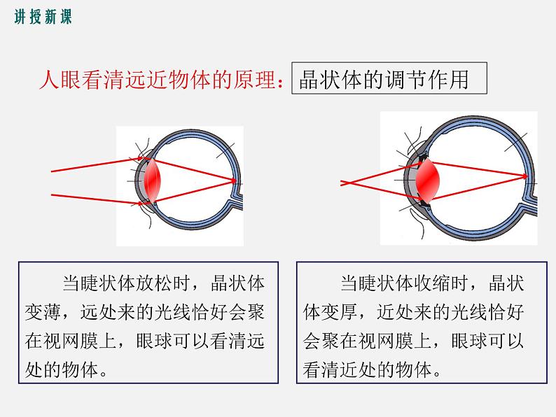 第4节  眼睛和眼镜 -2023-2024学年八年级上册物理同步备课课件（人教版）07