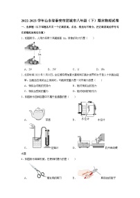 山东省泰安市肥城市2022-2023学年八年级下学期期末物理试卷（含答案）