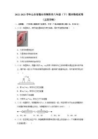 山东省烟台市海阳市2022-2023学年八年级下学期期末物理试卷（五四学制）（含答案）