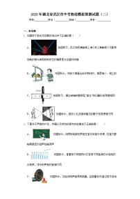 2023年湖北省武汉市中考物理模拟预测试题（二）（含解析）