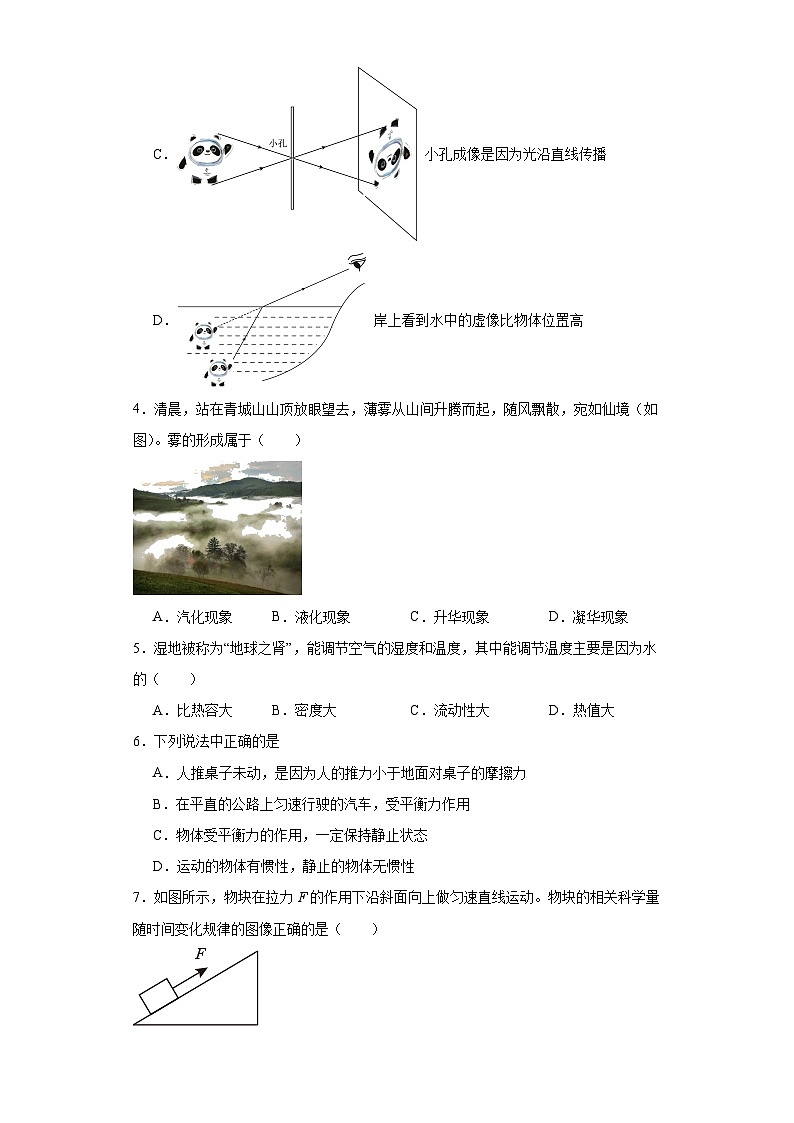 2023年山东省枣庄市直属学校、台儿庄区初中中考二模物理试题（含解析）02
