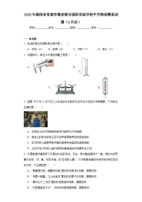 2023年湖南省常德市澧县银谷国际实验学校中考物理模拟试题（3月份）（含解析）