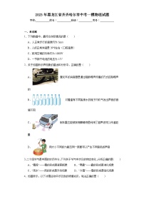 2023年黑龙江省齐齐哈尔市中考一模物理试题（含解析）