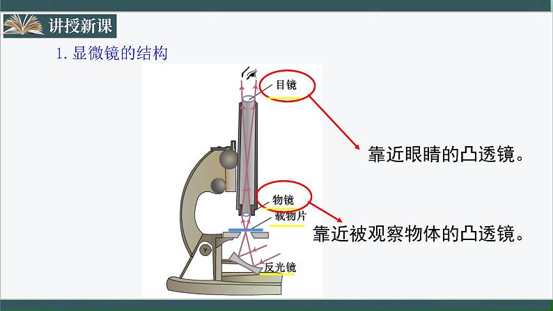 人教版八年级物理上册5.5《显微镜和望远镜》课件+ 同步分成练习（含答案）04