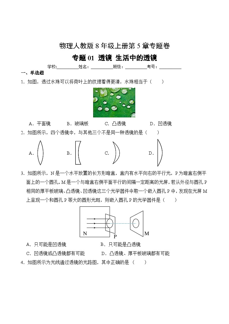 物理人教版8年级上册第5章专题卷01 透镜 生活中的透镜第2页