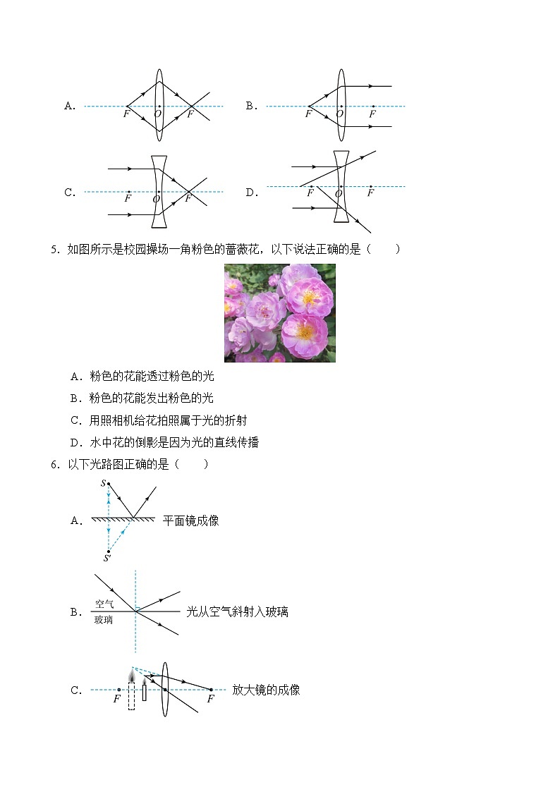 物理人教版8年级上册第5章专题卷01 透镜 生活中的透镜第3页