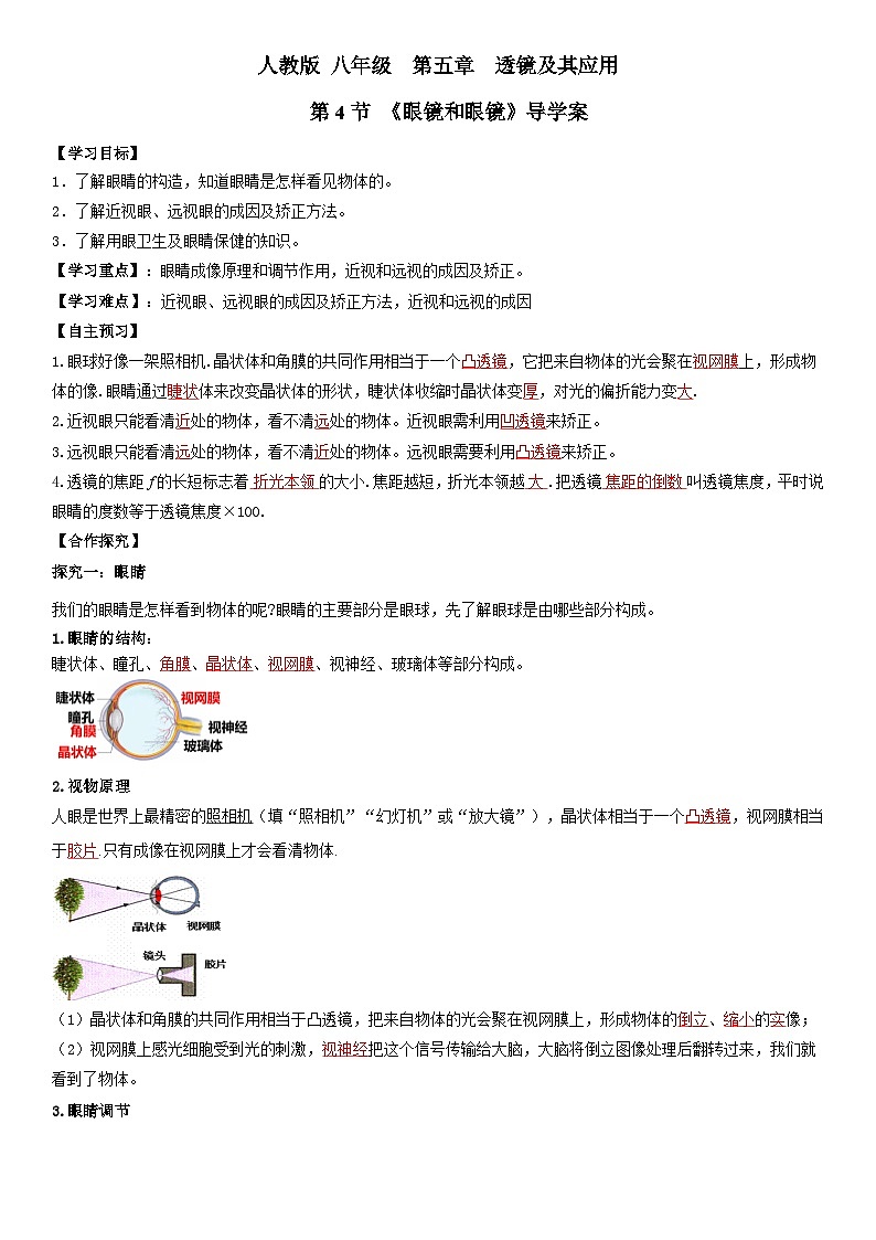 人教物理八上 5.4眼睛和眼镜 导学案 原卷+解析卷01