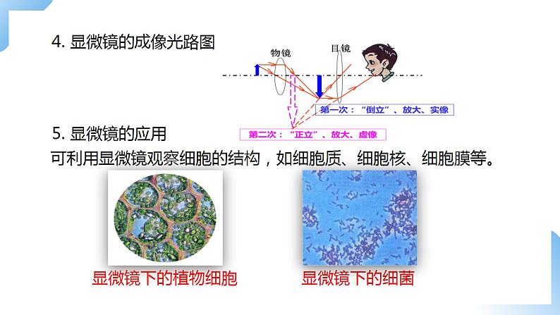 人教物理八上 5.5 显微镜和望远镜 课件+教案+导学案+练习+素材05